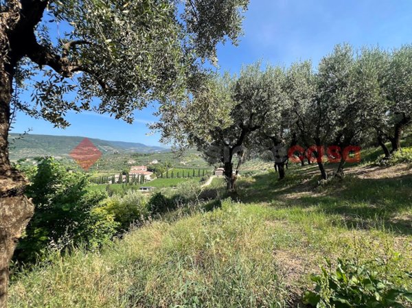 terreno agricolo in vendita a Verona in zona Santa Maria in Stelle