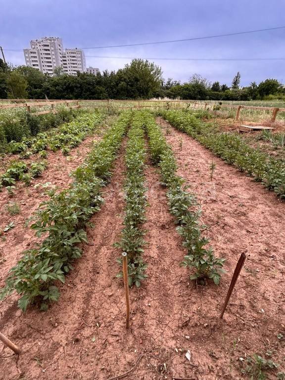 terreno agricolo in vendita a Verona