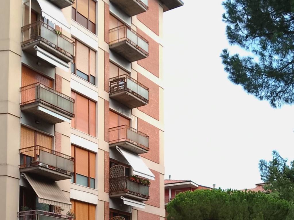 appartamento in vendita a Verona in zona Borgo Trento