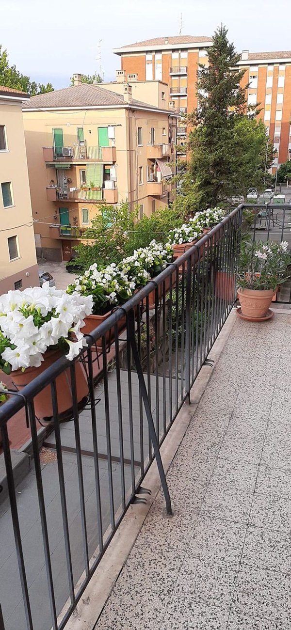 appartamento in vendita a Verona in zona Borgo Trento