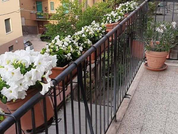 appartamento in vendita a Verona in zona Porto Crencano