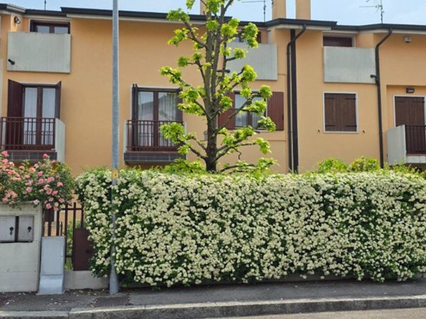 appartamento in vendita a Verona in zona Cadidavid