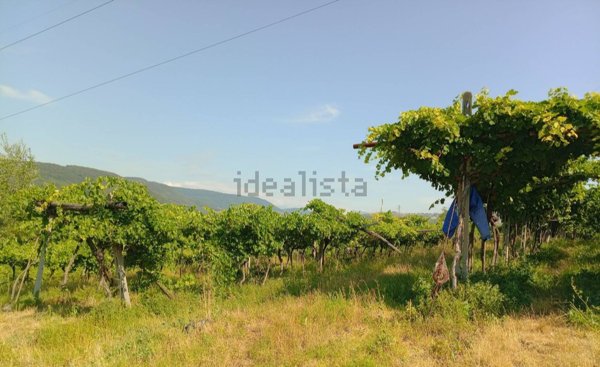 terreno in vendita a Verona