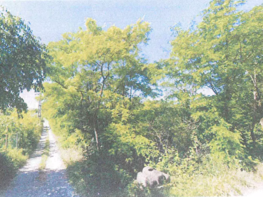 terreno in vendita a Verona