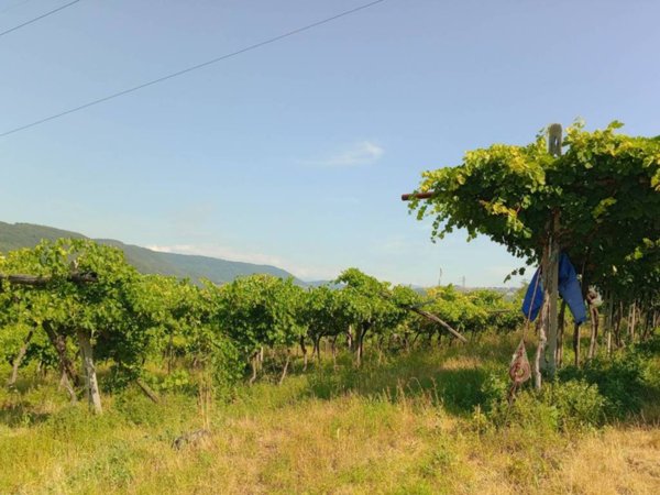 terreno in vendita a Verona