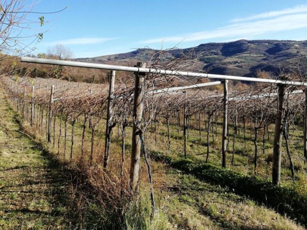 terreno in vendita a Verona