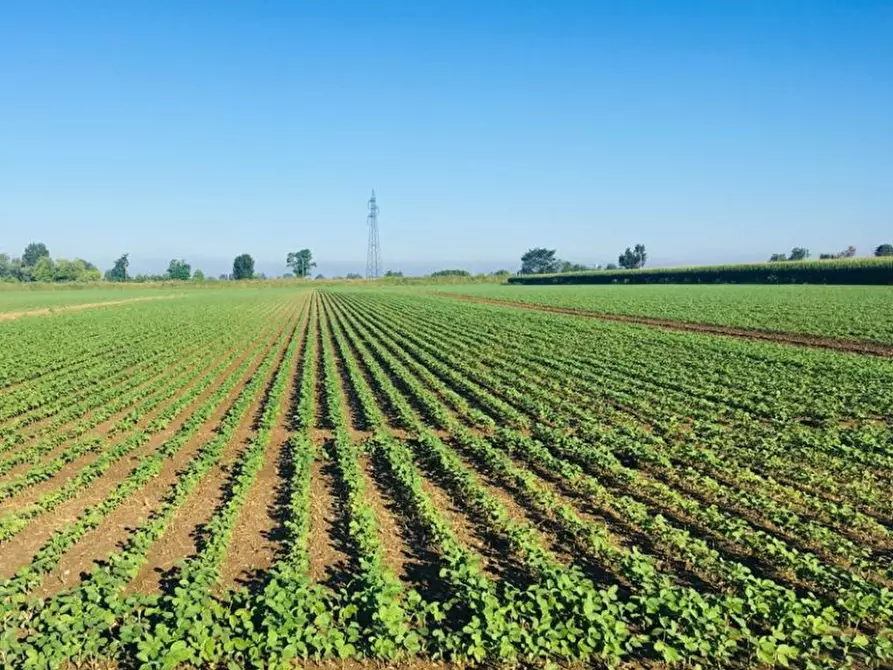 mansarda in vendita a Veronella