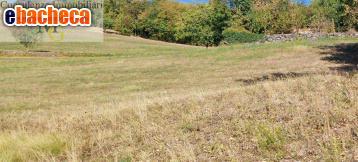 terreno agricolo in vendita a Vestenanova