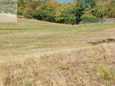 terreno agricolo in vendita a Vestenanova