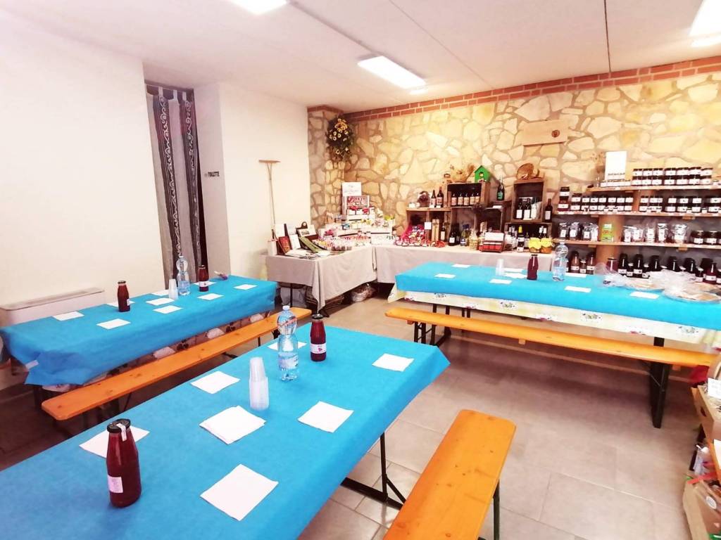 terreno agricolo in vendita a Vestenanova