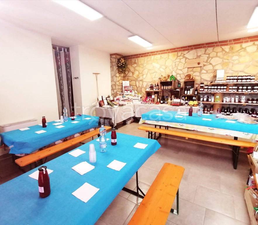 casa indipendente in vendita a Vestenanova