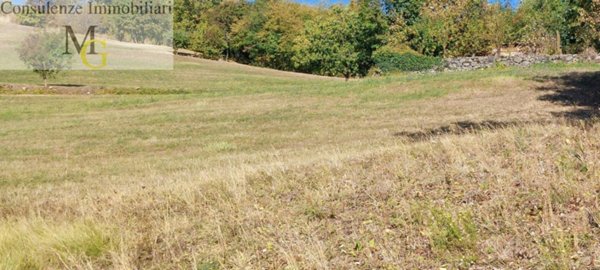terreno agricolo in vendita a Vestenanova