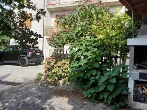 appartamento in vendita a Vestenanova