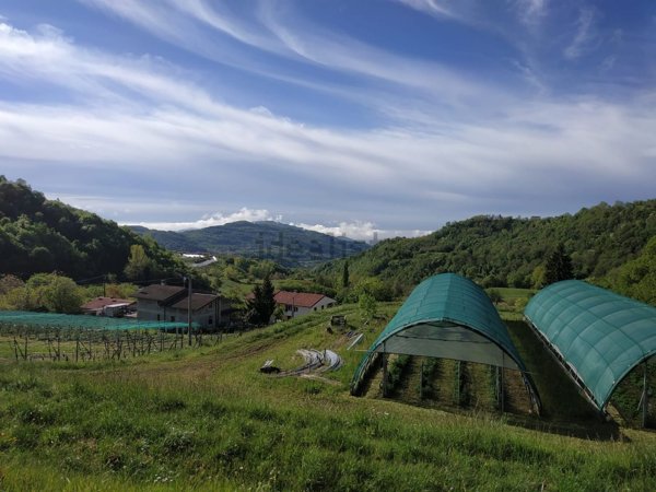 terreno in vendita a Vestenanova in zona Bolca