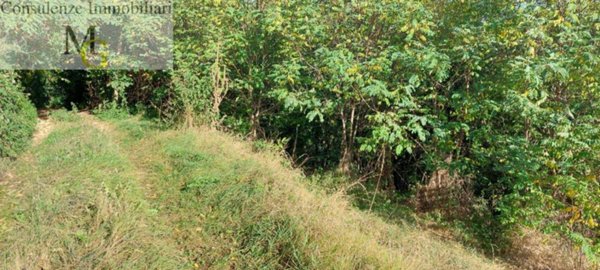 terreno agricolo in vendita a Vestenanova in zona Bolca