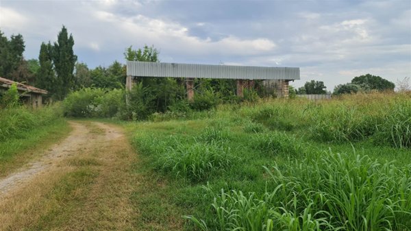terreno agricolo in vendita a Vigasio in zona Isolalta