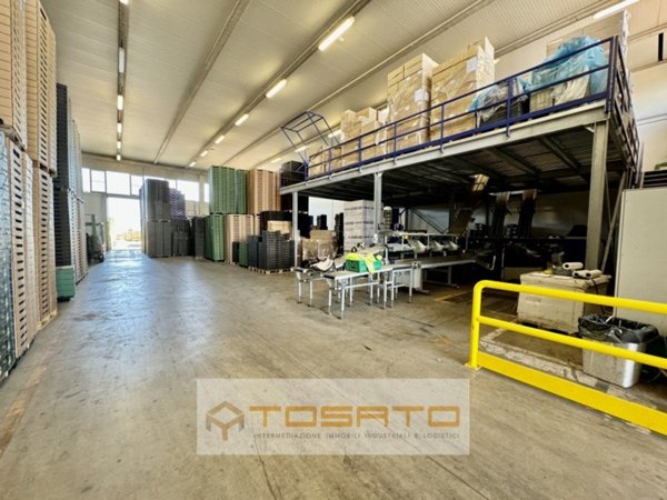 terreno edificabile in vendita a Vigasio