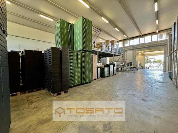 terreno edificabile in vendita a Vigasio