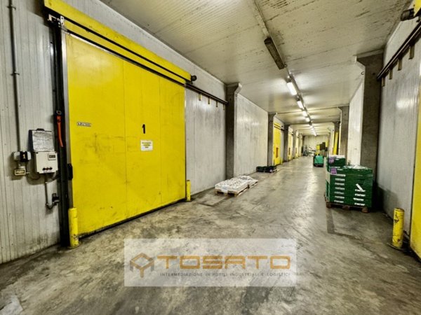terreno edificabile in vendita a Vigasio in zona Isolalta