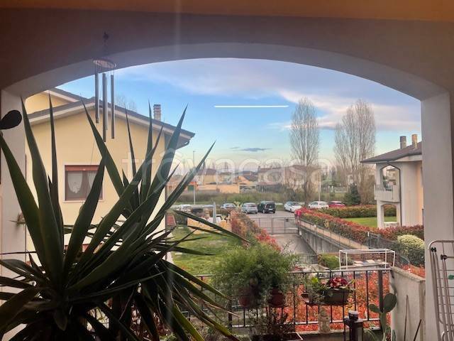 appartamento in vendita a Vigasio