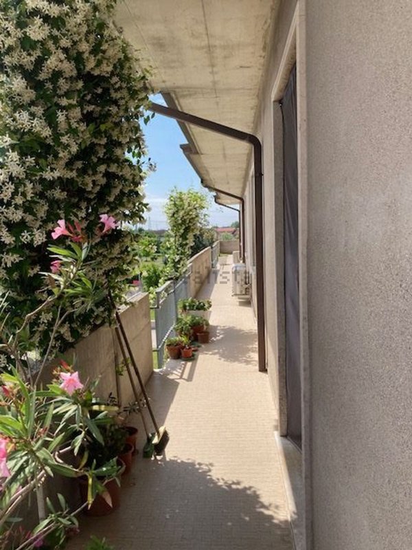 appartamento in vendita a Vigasio