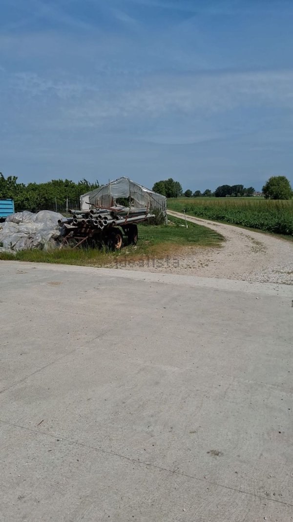 terreno agricolo in vendita a Vigasio in zona Isolalta