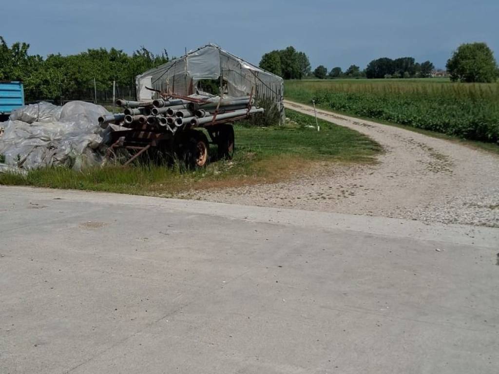 terreno agricolo in vendita a Vigasio in zona Isolalta