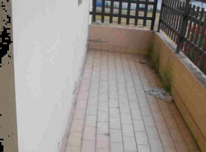 casa indipendente in vendita a Villa Bartolomea