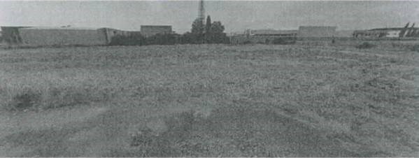 terreno agricolo in vendita a Villa Bartolomea