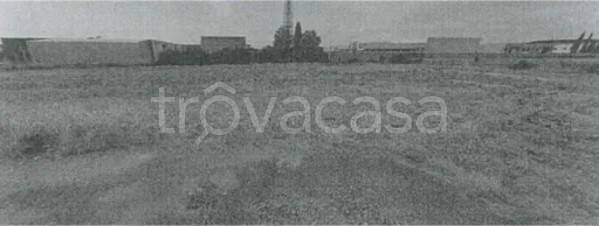 terreno agricolo in vendita a Villa Bartolomea