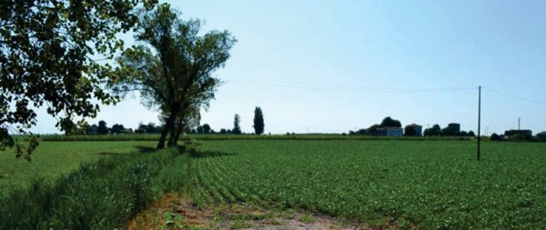 casa indipendente in vendita a Villa Bartolomea
