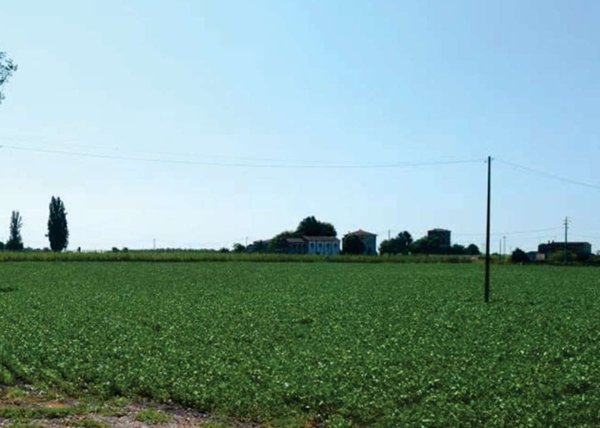casa indipendente in vendita a Villa Bartolomea
