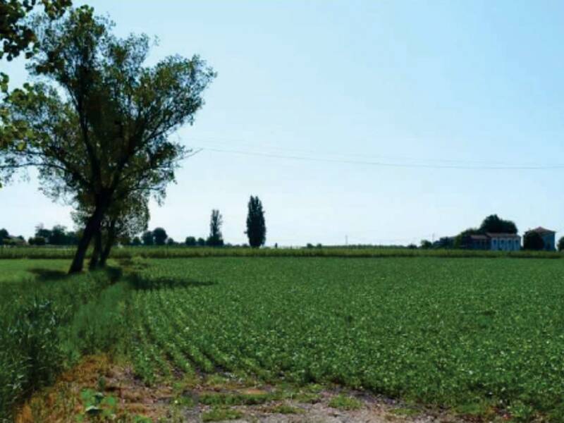 casa indipendente in vendita a Villa Bartolomea