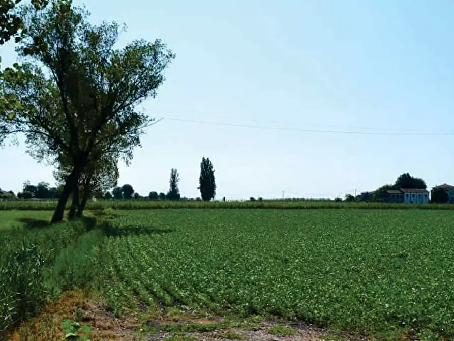casa indipendente in vendita a Villa Bartolomea