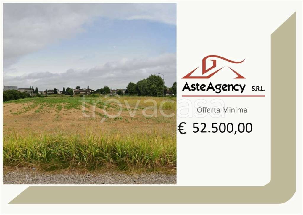 terreno agricolo in vendita a Villa Bartolomea in zona Spinimbecco