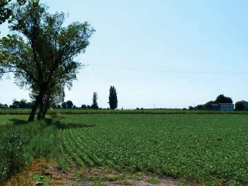 casa indipendente in vendita a Villa Bartolomea in zona Spinimbecco