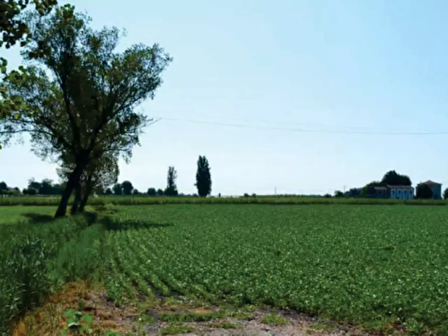 terreno in vendita a Villa Bartolomea