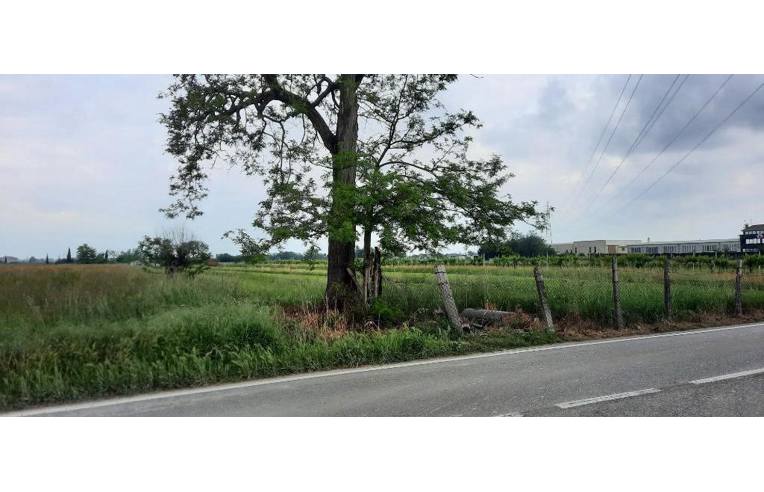 terreno agricolo in vendita a Villafranca di Verona