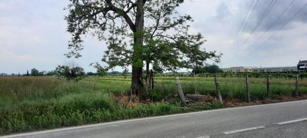 terreno agricolo in vendita a Villafranca di Verona