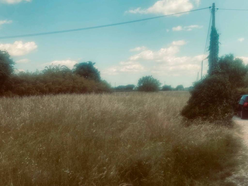 terreno agricolo in vendita a Villafranca di Verona in zona Dossobuono