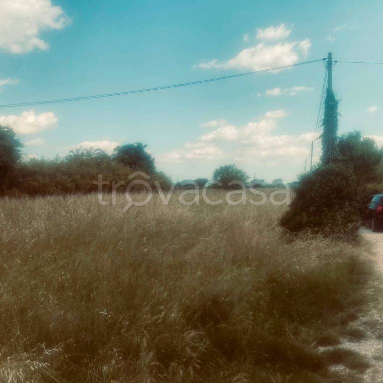 terreno agricolo in vendita a Villafranca di Verona in zona Dossobuono