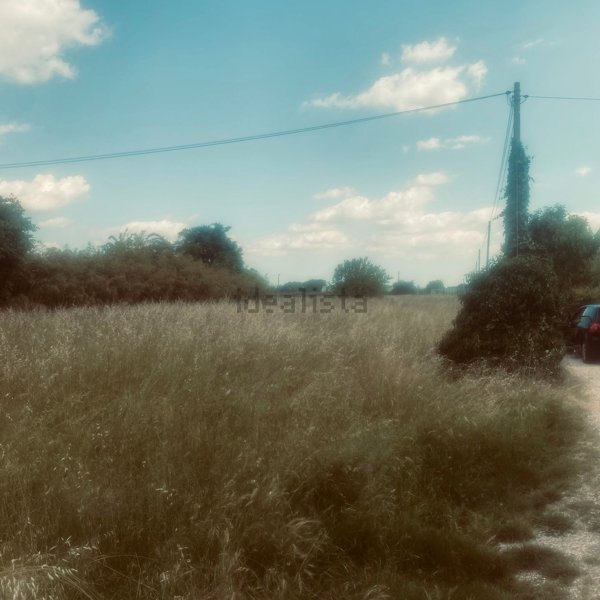 terreno agricolo in vendita a Villafranca di Verona in zona Dossobuono