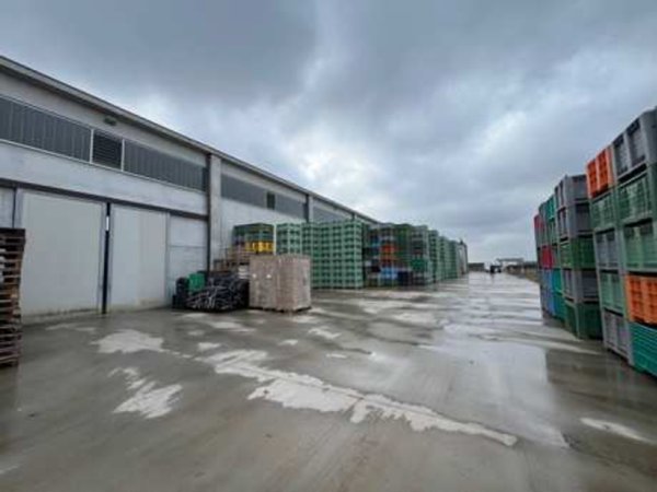 immagine annuncio 0 di 10