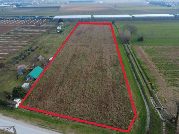 terreno agricolo in vendita a Villafranca di Verona in zona Alpo