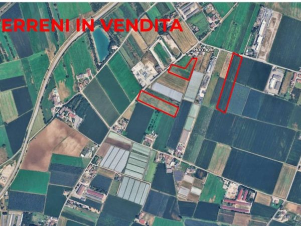terreno agricolo in vendita a Villafranca di Verona in zona Alpo