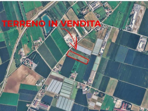 terreno agricolo in vendita a Villafranca di Verona in zona Alpo