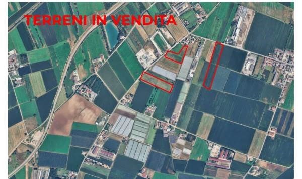 azienda agricola in vendita a Villafranca di Verona in zona Alpo