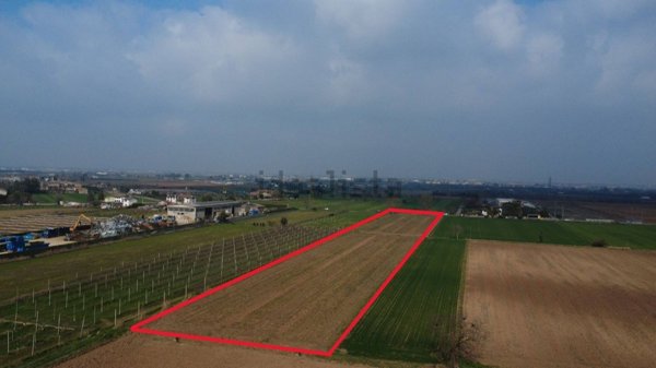 terreno agricolo in vendita a Villafranca di Verona