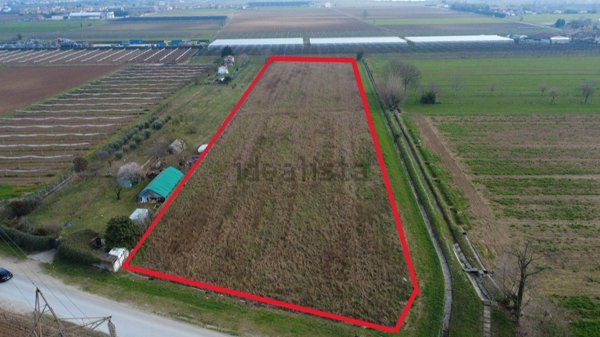 terreno agricolo in vendita a Villafranca di Verona in zona Alpo