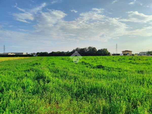 terreno agricolo in vendita a Villafranca di Verona in zona Caluri
